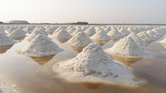 在泰国的盐田