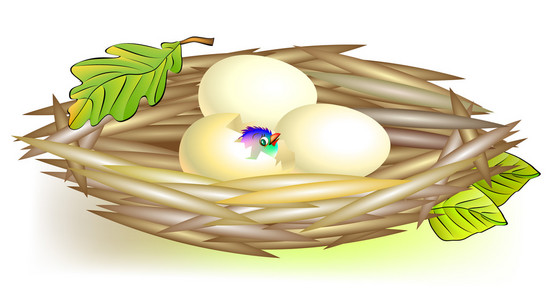 燕窝蛋的插图