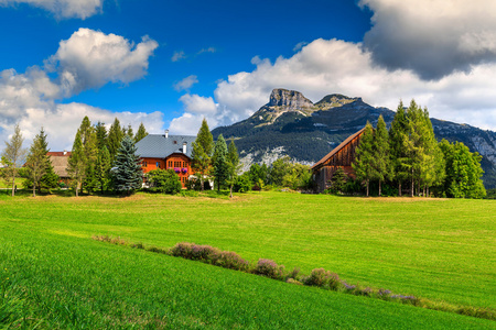 令人惊叹的绿色的田野和山脉，奥尔陶斯，奥地利的高山农场