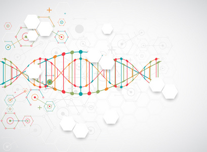 科学与 Dna 分子模板