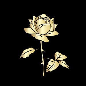 金色的玫瑰剪影