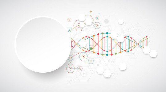 科学与 Dna 分子模板