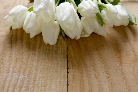 分离出的白色郁金香花束
