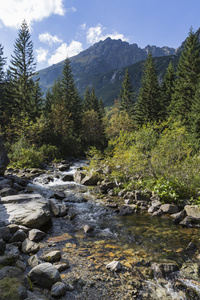 Roztoka 流在 Roztoka 谷。Tatra 国家公园。高塔特拉山区