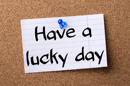 图案与苜蓿彩色涂鸦字体矢量插画标语迪拜阿联酋纪念品与多色石头组成