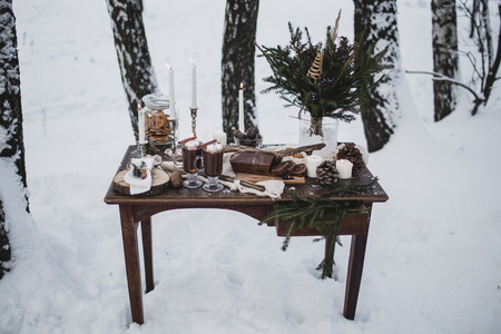 冬天在森林中浪漫的野餐。热可可和棉花糖