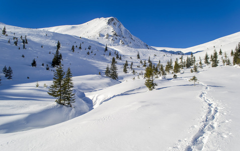 在雪地里到山上的小径