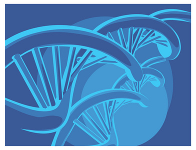 矢量 Dna 链