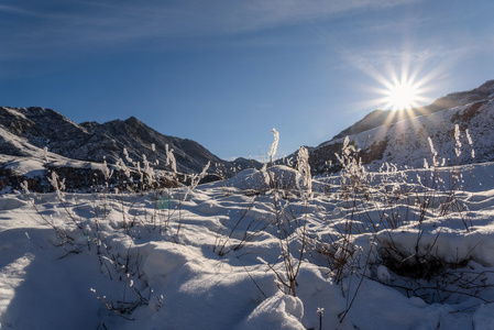 山雪太阳冬季霜