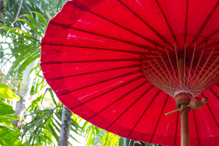 传统泰式伞