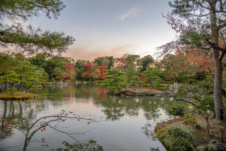 在金阁寺在秋天的季节里，日本金阁花园