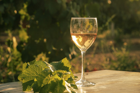 与白葡萄酒在葡萄园旧桌子上的玻璃