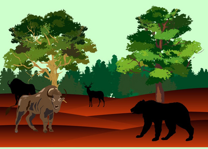 川崎大牛美图野牛和熊在美国大草原上,矢量图照片