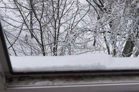 树树枝在雪纹理