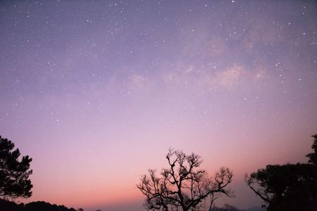 银河和星与树剪影