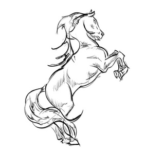 万马奔腾万马奔腾.手绘插画照片