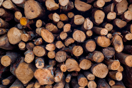 一堆木材木头准备冬天原木背景