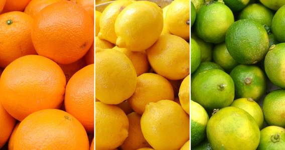 从柑橘 金橘 橙子和柠檬的柑橘类水果一套
