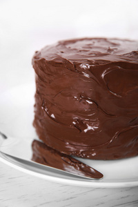 巧克力蛋糕上一盘与叶片对光的背景下，特写