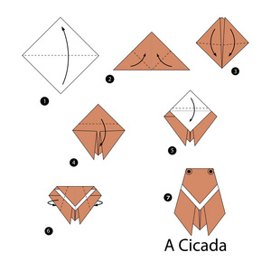 一步一步的说明如何使折纸蝉照片