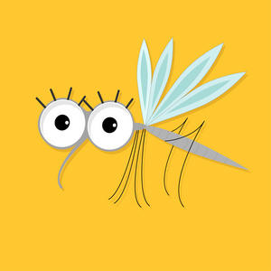 可爱的蚊子卡通滑稽的性格照片