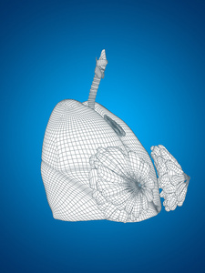 概念或概念解剖人类女人 3d 线框网格呼吸系统与在蓝色背景上的乳房