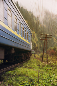 铁路早跟踪通过森林在秋天