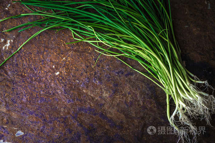 绿色的洋葱茎与根石桌子上