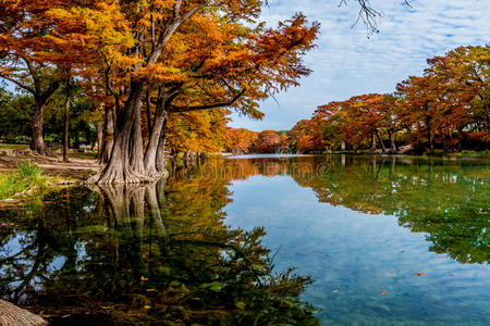 德克萨斯州加纳州立公园清澈的河流上，明亮的橙色秋叶