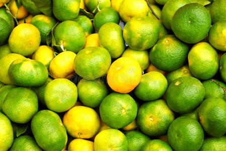 绿色未成熟的橘子