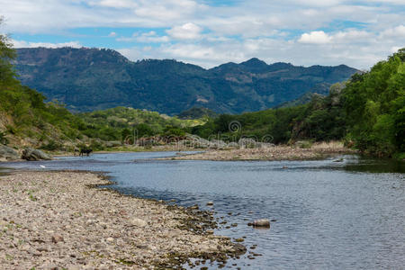 全景图 夏天 地球 风景 海滩 森林 土地 领域 美女 科斯塔