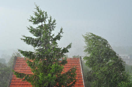大风大雨天空 飓风 危险 重的 自然 房子 暴风雨 暴雨 天气 坏的照片