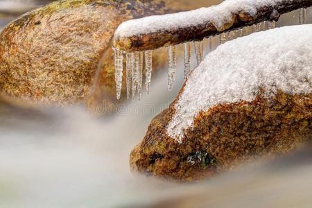 泡沫 冰柱 晶体 寒冷的 花岗岩 森林 分支 冰冷的 人行天桥