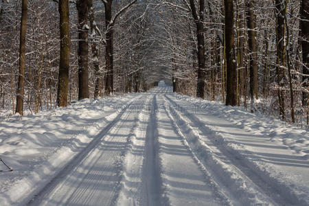 精彩的 娱乐 天空 脚印 雪景 季节 跟踪 时间 冬季景观