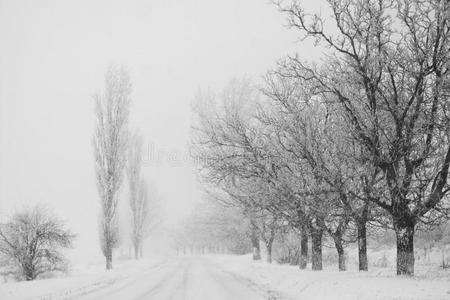 小巷里下了很多雪