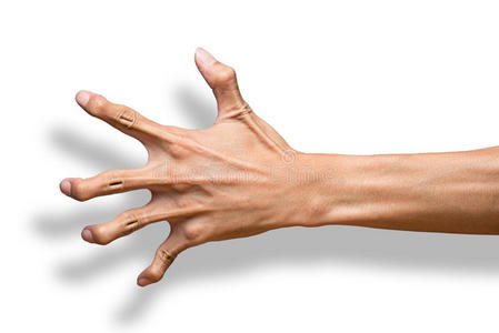 万圣节爪子手,可怕的爪子照片