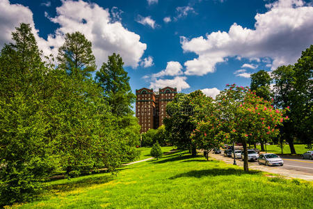 云层覆盖树木和一座建筑在德鲁伊山公园，在巴尔的摩，马里兰州。