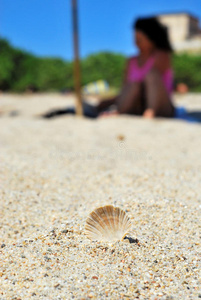 海滨 颜色 时间 雨伞 粉红色 贝壳 气候 海滩 夏天 海螺