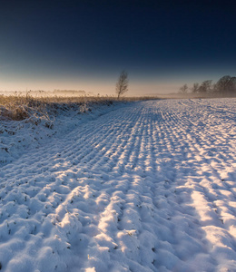 风景 情景 狩猎 指向 农业 农场 十二月 提高 景观 波兰