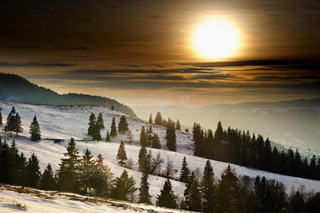 徒步旅行 森林 阳光 特雷 云杉 降雪 情景 全景图 日落