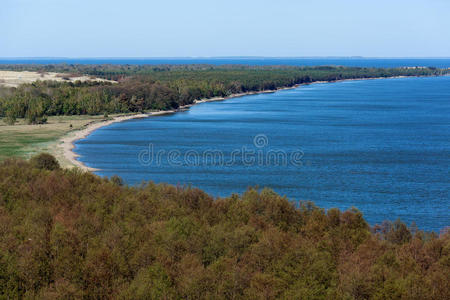 土地 预订 公园 国家 美女 波罗的海 海湾 沙丘 沙漠