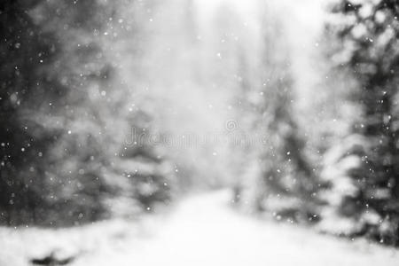 季节 危险 降雪 冰冷的 二月 幻想 风景 斯诺 雪花 福尔斯特