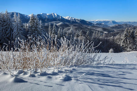 山地景观