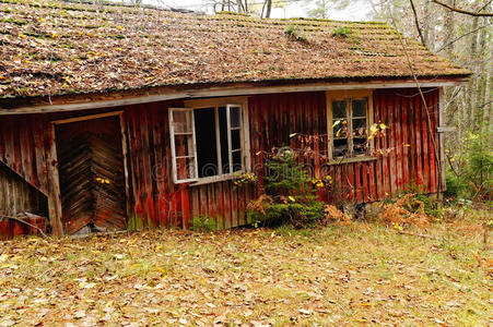 外部 房子 木材 建筑 被遗弃的 废墟 空的 古老的 挪威