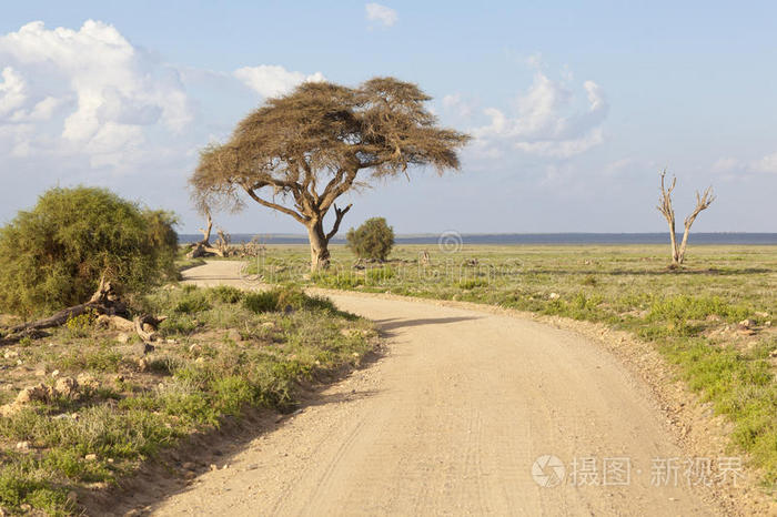肯尼亚安博塞利国家公园