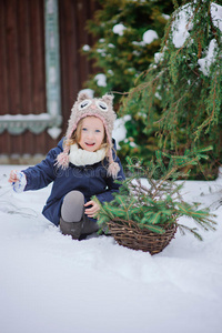 帽子 微笑 女孩 松木 篮子 冬天 金发女郎 美丽的 天气