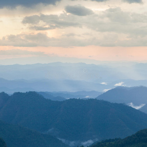 阳光 领域 场景 森林 特雷 乡村 土地 旅行 太阳 日出