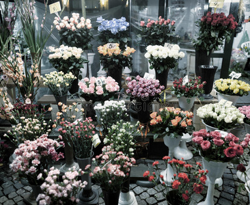 植物区系 礼物 联盟 布雷斯劳 市场 街道 商业 花的 弗罗茨瓦夫