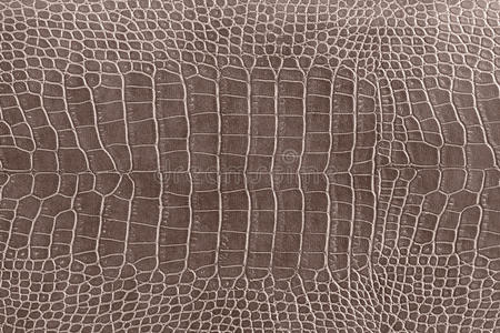 鳄鱼皮肤鳄鱼皮肤纹理作为壁纸照片