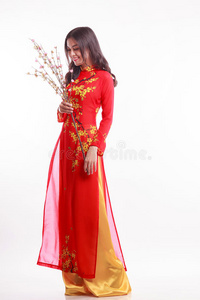 美丽的越南女人带着红傲黛捧着樱花